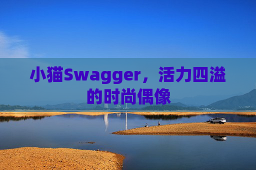 小猫Swagger，活力四溢的时尚偶像