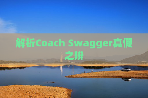 解析Coach Swagger真假之辨 解析Coach Swagger真假之辨